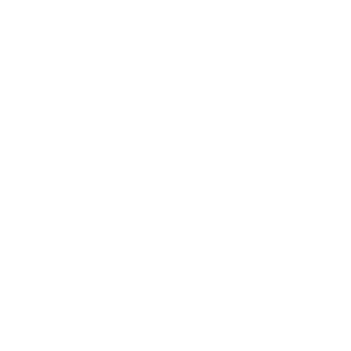 Ambition 10